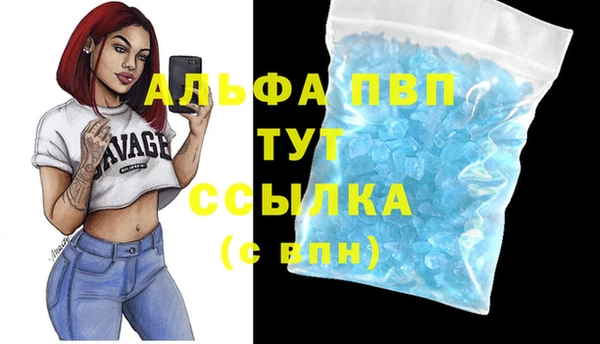 СК Алексеевка