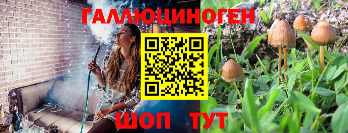 Псилоцибиновые грибы ЛСД Стерлитамак